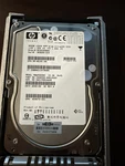 Hp (351126-001) 300GB Internal 10000RPM 3.5". Fixed Price $39.00.