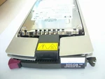 350964-B22-351126-001-404701-001/404670-001-HP 300GB 10K Ultra 320. Fixed Price $103.99.